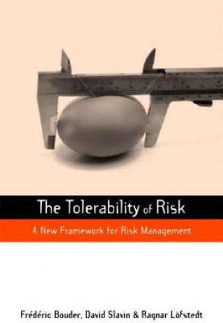 Buch Tolerability of Risk 