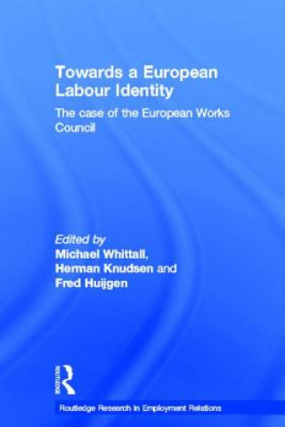 Kniha Towards a European Labour Identity 