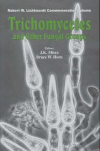 Kniha Trichomycetes and Other Fungal Groups 