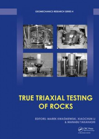 Kniha True Triaxial Testing of Rocks Marek Kwasniewski