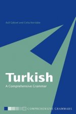 Könyv Turkish: A Comprehensive Grammar Asli Goksel