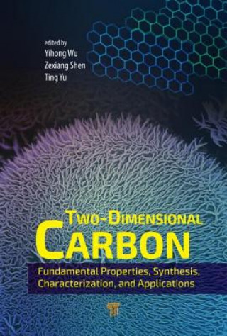 Kniha Two-Dimensional Carbon Wu Yihong