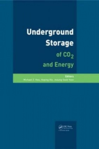 Kniha Underground Storage of CO2 and Energy 