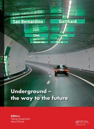 Kniha Underground. The Way to the Future 