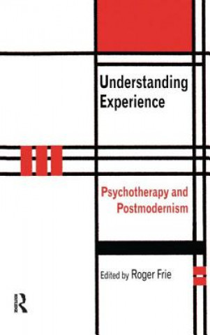 Buch Understanding Experience Roger A. Frie