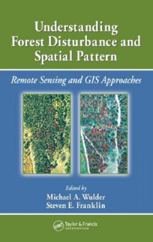 Kniha Understanding Forest Disturbance and Spatial Pattern 