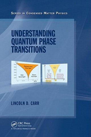 Carte Understanding Quantum Phase Transitions 