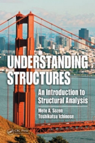 Knjiga Understanding Structures Toshikatsu Ichinose