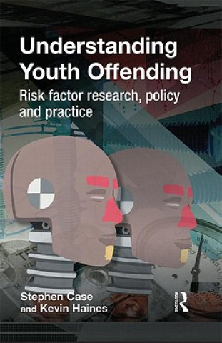 Book Understanding Youth Offending Stephen Case