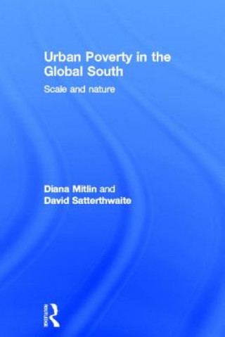 Könyv Urban Poverty in the Global South David Satterthwaite
