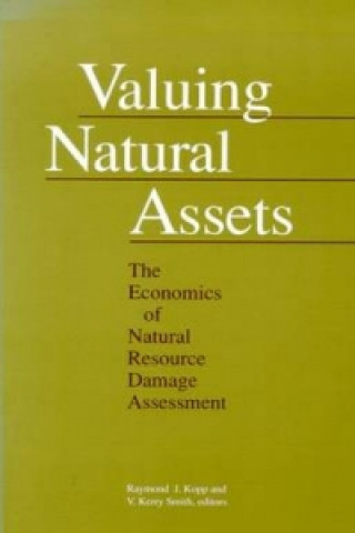 Kniha Valuing Natural Assets V.Kerry Smith