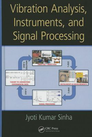 Kniha Vibration Analysis, Instruments, and Signal Processing Jyoti Kumar Sinha