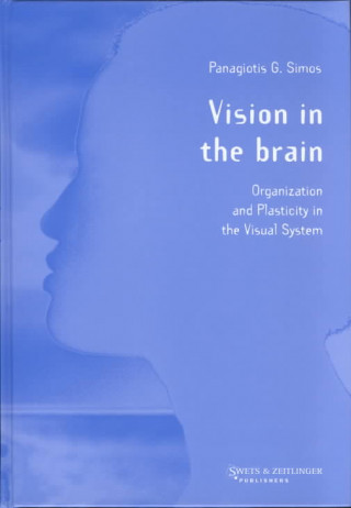 Książka Vision in the Brain P. G. Simos