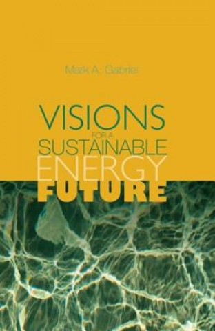 Kniha Visions for a Sustainable Energy Future Gabriel