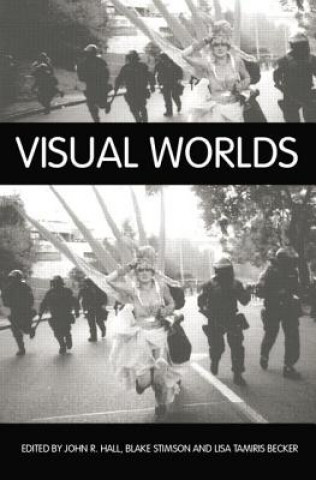 Boek Visual Worlds Blake Stimson