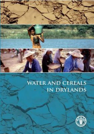 Buch Water and Cereals in Drylands Bobby A. Stewart