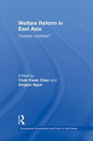 Kniha Welfare Reform in East Asia 