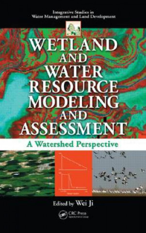 Kniha Wetland and Water Resource Modeling and Assessment 