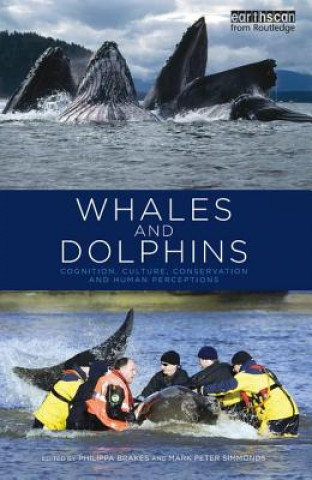 Könyv Whales and Dolphins 