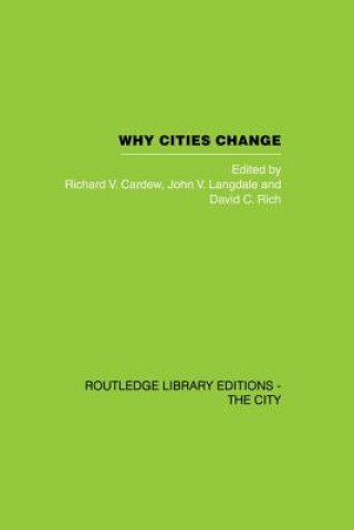 Könyv Why Cities Change 