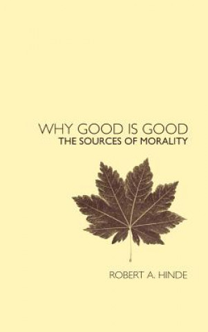 Könyv Why Good is Good Robert A. Hinde