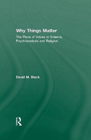 Boek Why Things Matter David M. Black