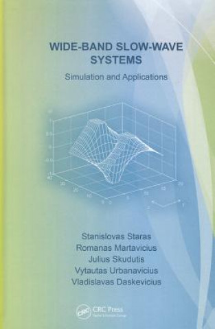 Könyv Wide-Band Slow-Wave Systems Vladislavas Daskevicius