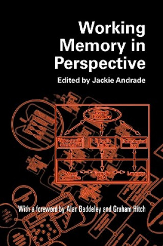 Könyv Working Memory in Perspective 