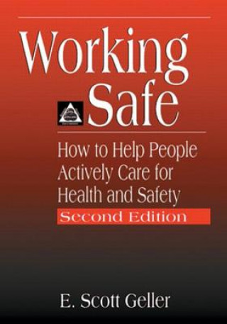 Kniha Working Safe Geller