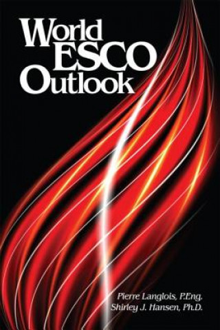 Książka World ESCO Outlook Hansen