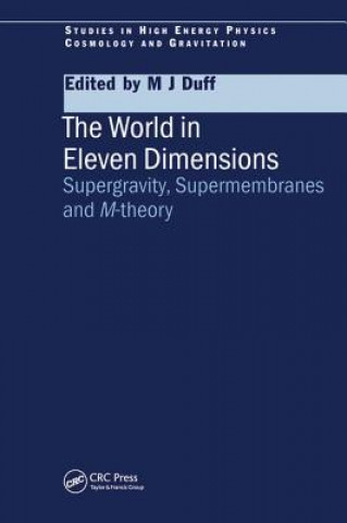 Книга World in Eleven Dimensions M. J. Duff