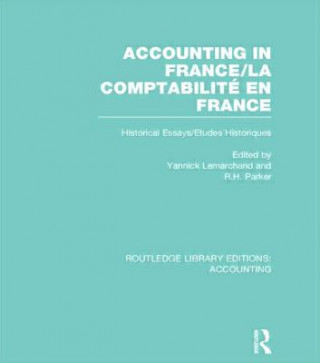 Книга Accounting in France (RLE Accounting) 