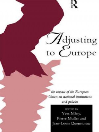 Könyv Adjusting to Europe Yves Meny