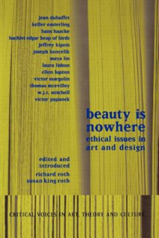 Könyv Beauty is Nowhere Saul Ostrow