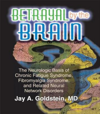 Kniha Betrayal by the Brain Jay Goldstein