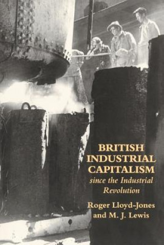 Könyv British Industrial Capitalism Since The Industrial Revolution M.J. Lewis