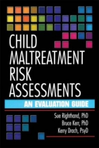 Książka Child Maltreatment Risk Assessments Kerry M. Drach