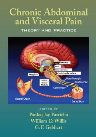 Βιβλίο Chronic Abdominal and Visceral Pain 