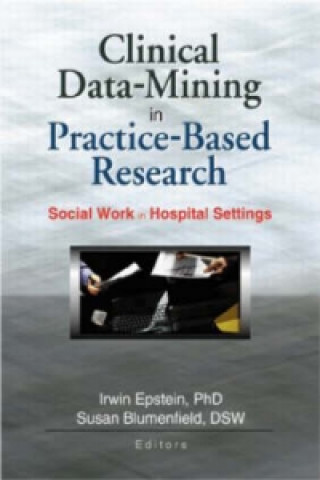 Kniha Clinical Data-Mining in Practice-Based Research Susan Blumenfield