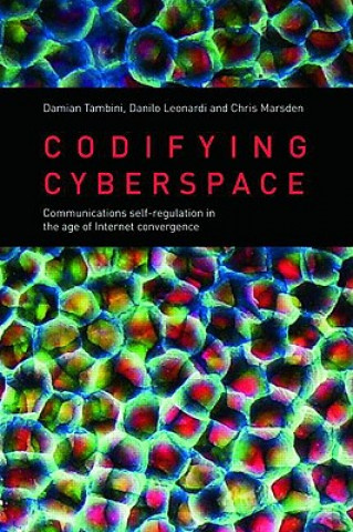 Kniha Codifying Cyberspace Damian Tambini
