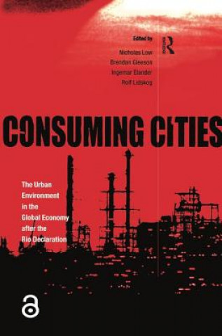 Könyv Consuming Cities Lidskog