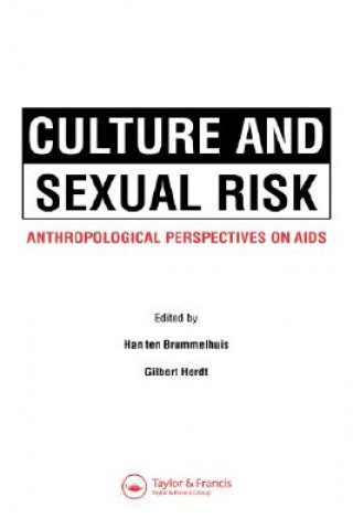 Könyv Culture and Sexual Risk H. Brummelhuis