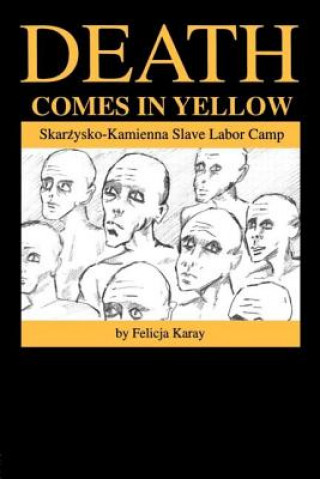 Kniha Death Comes in Yellow Felicja Karay