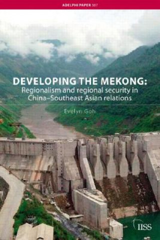 Книга Developing the Mekong Evelyn Goh