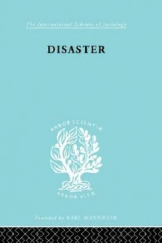 Könyv Disaster Martha Wolfenstein