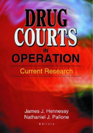 Książka Drug Courts in Operation James Hennessy