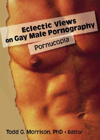 Książka Eclectic Views on Gay Male Pornography Todd G. Morrison