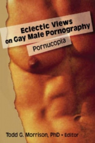 Книга Eclectic Views on Gay Male Pornography Todd G. Morrison