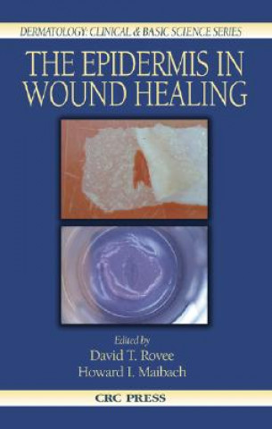Könyv Epidermis in Wound Healing David T. Rovee