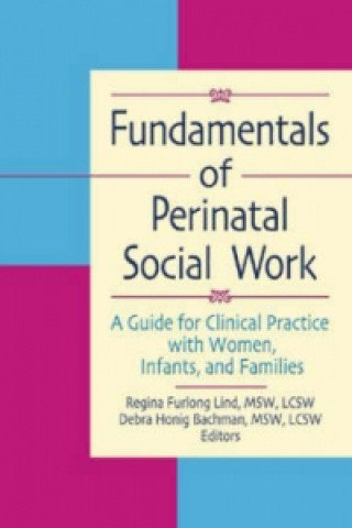 Knjiga Fundamentals of Perinatal Social Work Debra Honig Bachman